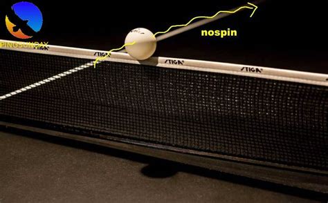 Top Table Tennis Mistakes And How To Fix Pingsunday