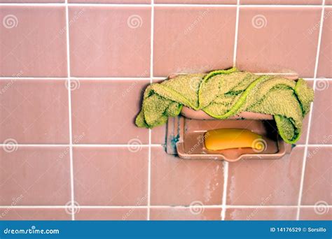 Mold And Soap Scum Royalty Free Stock Images - Image: 14176529