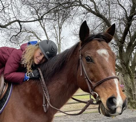 Riding Lessons – Sandy Hill Farm