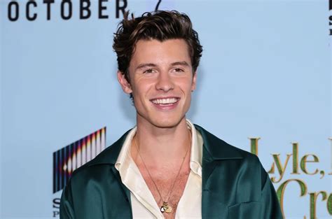 Shawn Mendes Biography, Height, Weight, Age, Movies, Wife, Family
