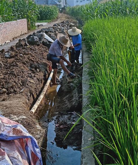 【我为群众办实事】黎埠镇：引水抗旱保生产，多措并举解民忧 阳山县政府门户网站