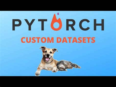 Creating A Custom Dataset In Pytorch Reason Town