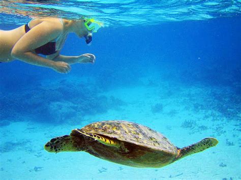 Bikini Girl Snorkeling Underwater photo, Maldives – Travel Around The ...