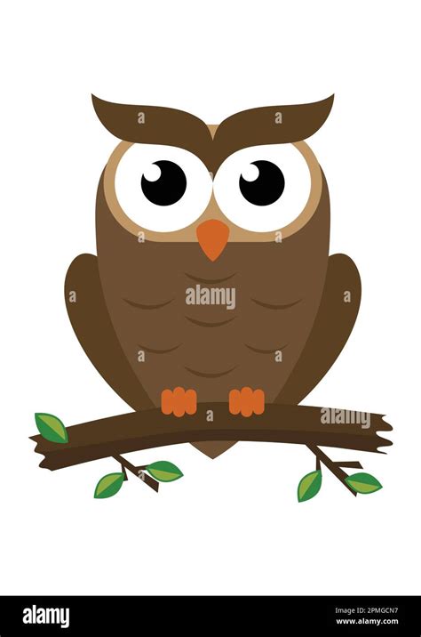 Cartoon Owl Isolated On White Background Vector Illustration Of