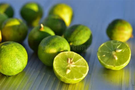 Fresh Key Lime Fruit Cut In Half Stock Photo Image Of Ingredient