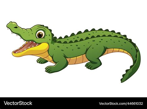 Little alligator cartoon animal Royalty Free Vector Image