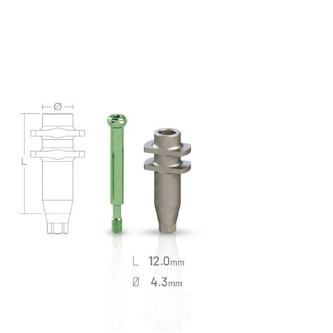 Open Tray Implant Impression Coping Fitting With NeoBiotech Conical