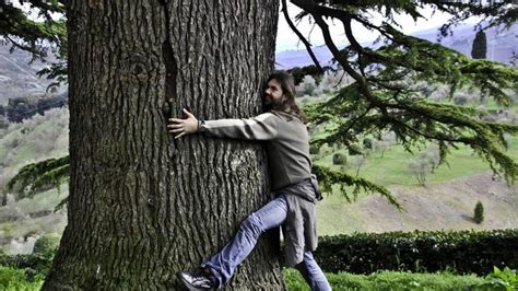 Abrazar un árbol Descubre sus beneficios