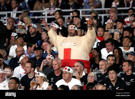 England fans in the stands celebrate after the 2019 Rugby World Cup ...