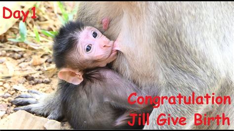 Hot News Announcement Big Boom Congratulation Mom Jill Gave Birth