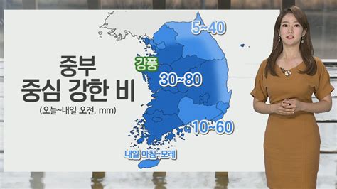 날씨 밤사이 중부 강한 비내일까지 최대 80mm 연합뉴스