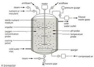 Fermentation - Bioprocessing