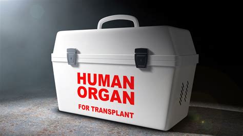 What Happens To Your Body When Youre An Organ Donor Live Science