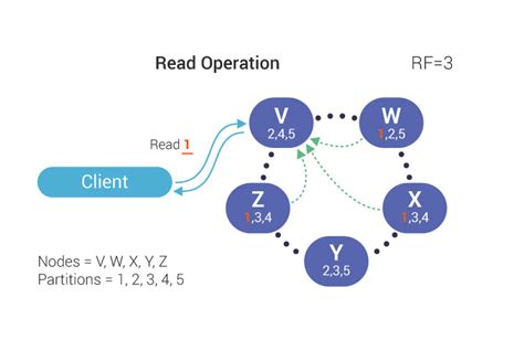 What Is Database Replication Definition And Faqs Scylladb