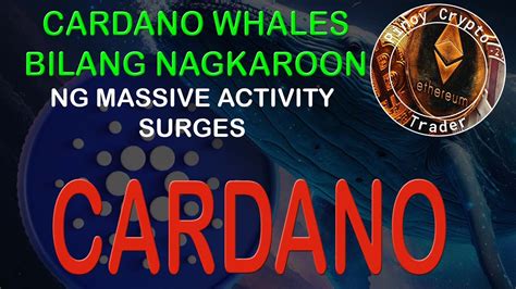 Cardano Ada Biglang Nagkaroon Ng Massive Activity Ang Mga Whales