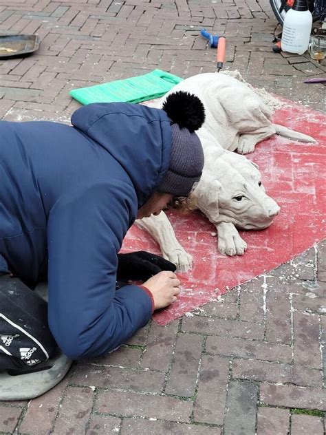 Echt Mooi Of Echt Nep Deze Zandkunstenaar Maakt Opmerkelijke Beelden