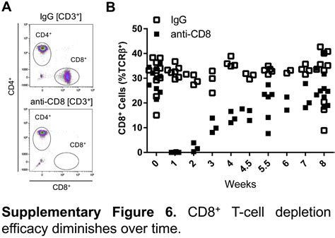 Cd8 T Cells Modulate Autosomal Dominant Polycystic Kidney Disease