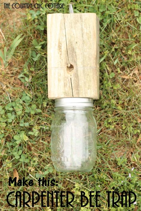 How To Make A Carpenter Bee Trap Wood Bee Trap Carpenter Bee Trap