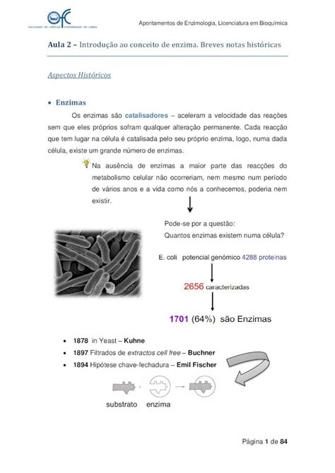 PDF Resumos De Enzimologia DOKUMEN TIPS