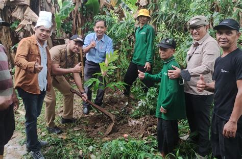 Bantaran Sungai Cisadane Ditanami Pohon Untuk Cegah Longsor Palapa News