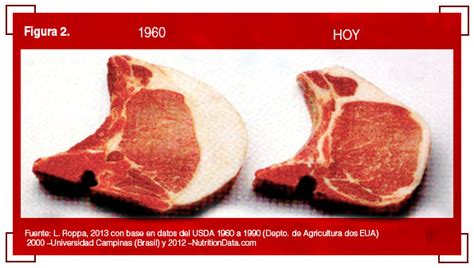 Comparativa Salud De La Carne De Res Vs Carne De Cerdo Xancouso