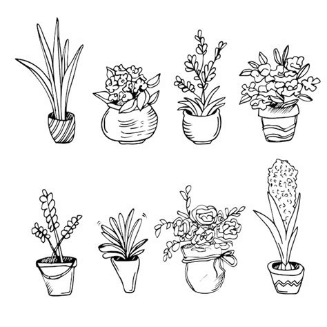 Premium Vector Doodle Vector House Plant In Pot Set