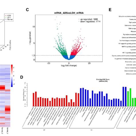 Identification Of Differentially Expressed Mrnas In Ads A Principal Download Scientific