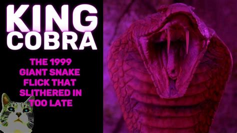 King Cobra The Almost King Of The Giant Snake Movies Youtube