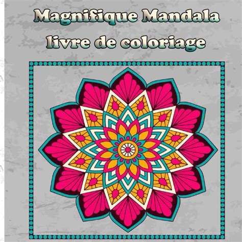 Buy Magnifique Mandala Livre De Coloriage Livre De Coloriage Pour