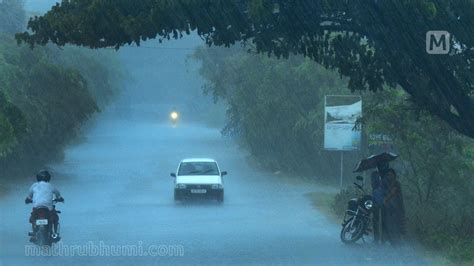 Heavy Rainfall Continues In Kerala Yellow Alert In 8 Districts Kerala