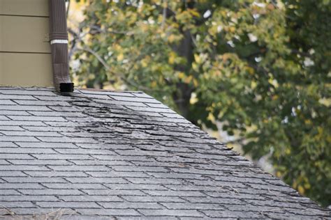 10 Causes Of Roof Leaks And How To Identify Them