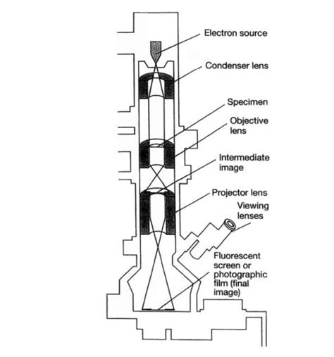 Electron microscopy