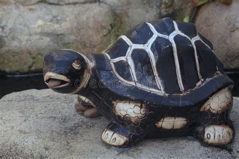 228 Stone Turtle Statue Garden Stock Photos Free And Royalty Free Stock