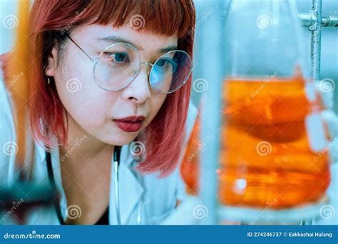 Women Scientist Are Working Research And Test Chemical With Test Tubes