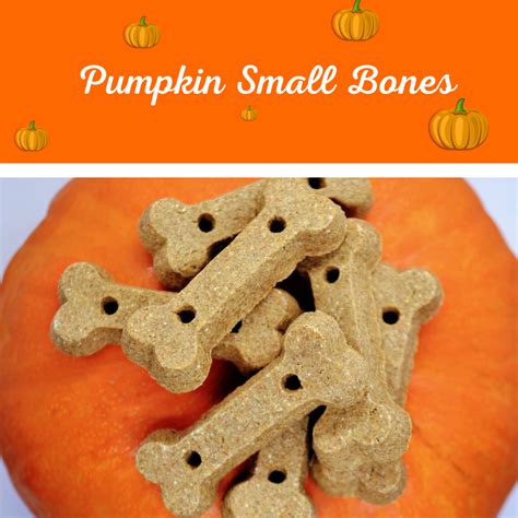 Small Pumpkin Bones - The Fairy Dog Parents