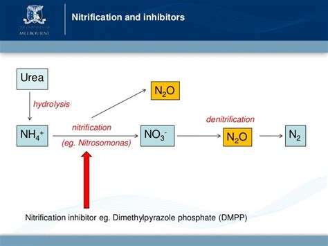 A Field Study On The Impact Of The Nitrification Inhibitor Dmpp On Ni