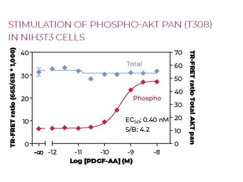 Thunder™ Phospho Akt Pan T308 Total Akt Pan Tr Fret Cell Signaling