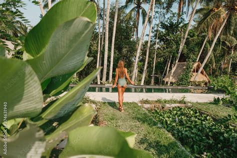 Back View Tanned Slim Woman In Bikini Walk To The Swimming Pool Surrounded With Coconut Palm