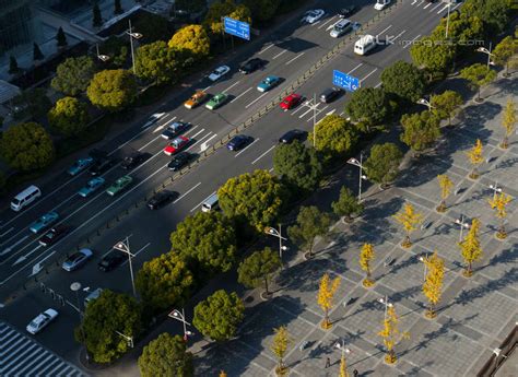 无人横图俯视航拍室外白天度假美景植物城市风光城市道路路人行横道公路汽车上海中国亚洲阴影光线影子景观