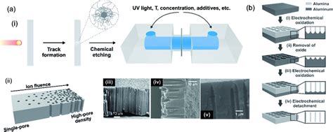 A I Scheme Of Ion Track Etching Nanofabrication Technique Ii