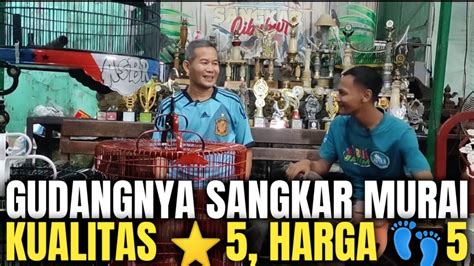 Arif Sangkar Cibubur Selain Jual Murai Berkualitas Juga Tersedia