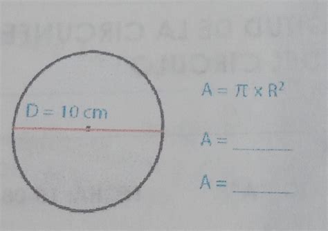 Halla El Area De Los Siguientes Circulos Brainly Lat