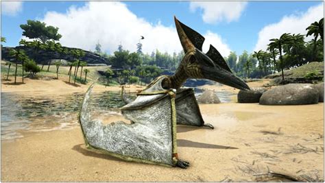 Pteranodon Guía Ark Survival Evolved