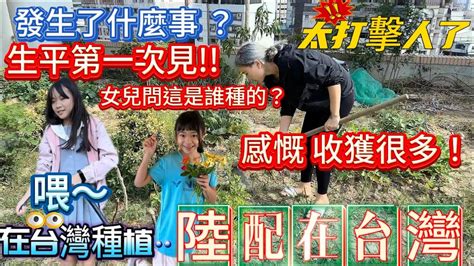 【陸妻在台灣】台灣朋友總問我，為什麼每天都很開心？我想說只要管家不鬧、其實在台灣每一天都很享受，細心感受每一處不同！｜種地｜採花｜在台灣生活｜ Youtube