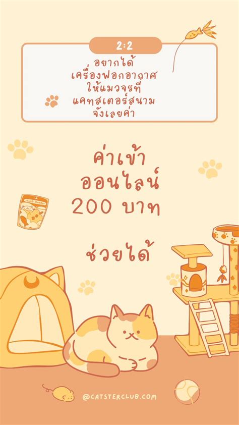 Mali on Twitter RT CatsterClub P M 2 5 ทำแมว แคทสเตอรสนาม แลว