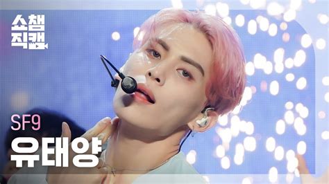 [쇼챔직캠 4k] Sf9 Yoo Tae Yang Scream 에스에프나인 유태양 스크림 Show Champion Ep 442 Youtube