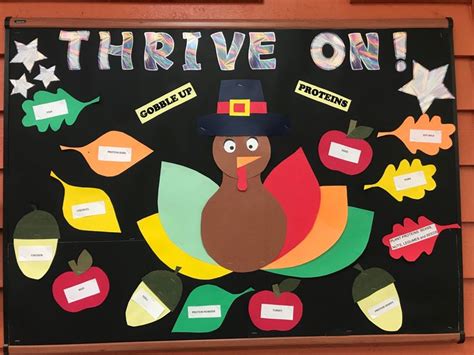 Pin By Olga B On Renal Bulletin Board Gobble Thrive Renal