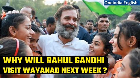 Rahul Gandhi To Visit Wayanad First Time After Being Reinstated As MP