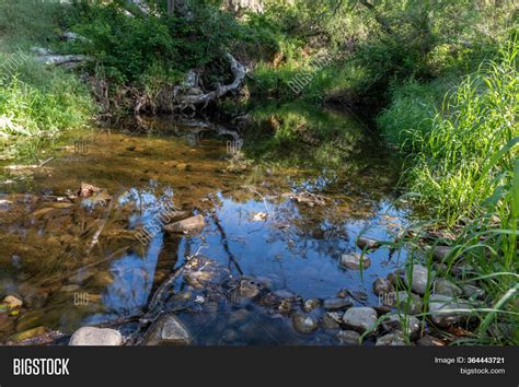 Flowing Creek Slows Image Photo Free Trial Bigstock