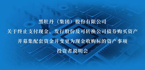 黑牡丹关于终止支付现金、发行股份及可转换公司债券购买资产并募集配套资金并变更为现金收购标的资产事项投资者说明会